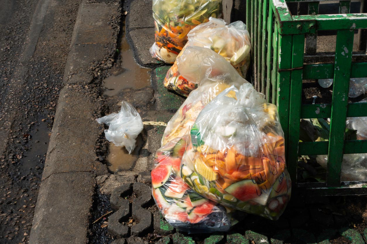 food waste in plastic bag