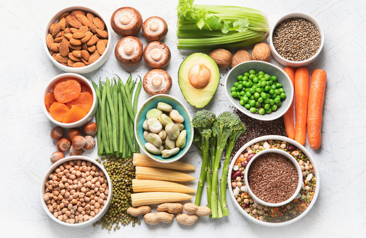 A variety of foods for kidney health that are full of plant-based protein